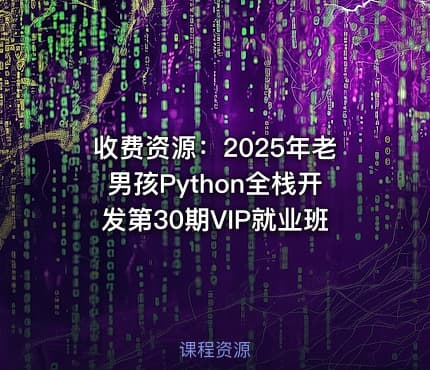收费资源：2025年老男孩Python全栈开发第30期VIP就业班