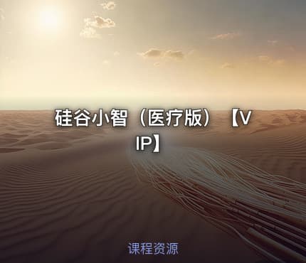 硅谷小智（医疗版）【VIP】