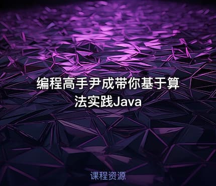编程高手尹成带你基于算法实践Java