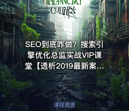SEO到底咋做？搜索引擎优化总监实战VIP课堂【透析2019最新案例】