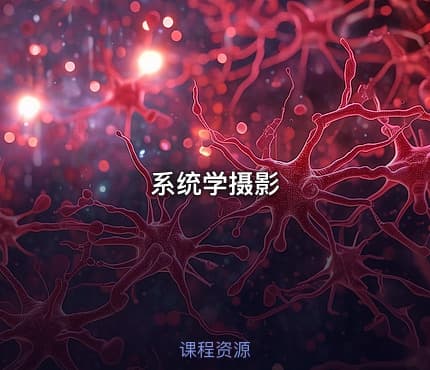 系统学摄影