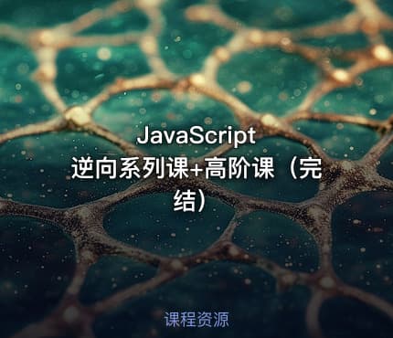 JavaScript 逆向系列课+高阶课（完结）