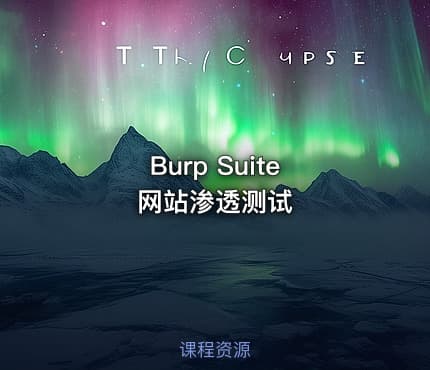 Burp Suite 网站渗透测试