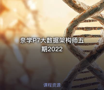 奈学P7大数据架构师五期2022