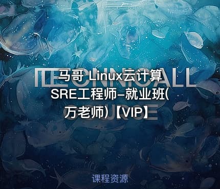 马哥 Linux云计算SRE工程师-就业班(万老师)【VIP】