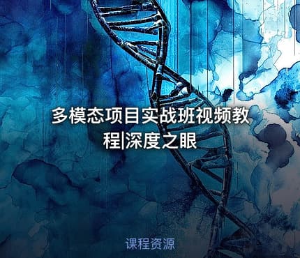 多模态项目实战班视频教程|深度之眼