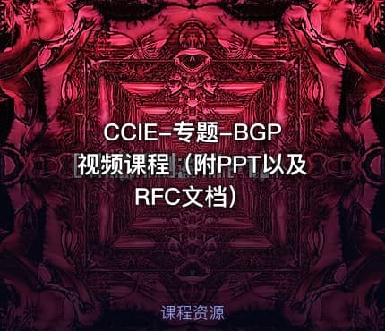 CCIE-专题-BGP视频课程（附PPT以及RFC文档）