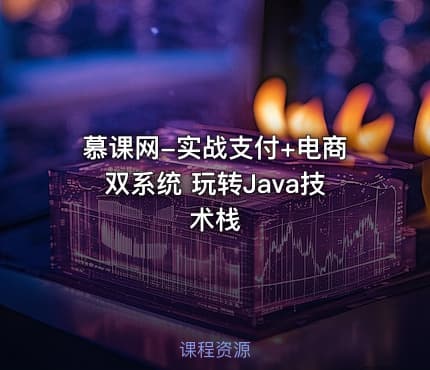 慕课网-实战支付+电商双系统 玩转Java技术栈