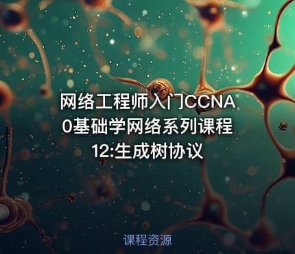 网络工程师入门CCNA 0基础学网络系列课程12:生成树协议