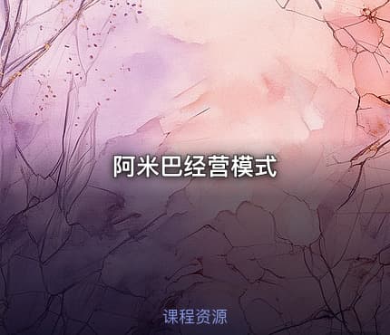 阿米巴经营模式