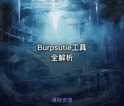 Burpsutie工具全解析