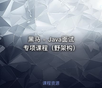 黑马 - Java面试专项课程（野架构）