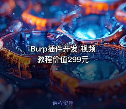 Burp插件开发 视频教程价值299元