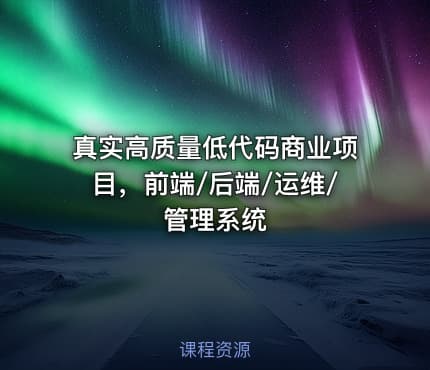 真实高质量低代码商业项目，前端/后端/运维/管理系统