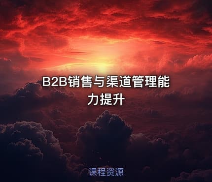 B2B销售与渠道管理能力提升