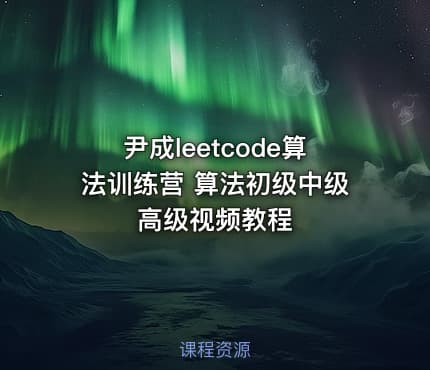 尹成leetcode算法训练营 算法初级中级高级视频教程