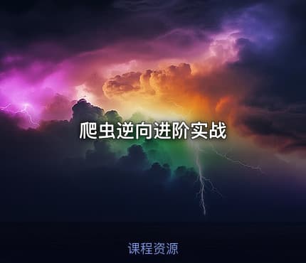 爬虫逆向进阶实战.pdf