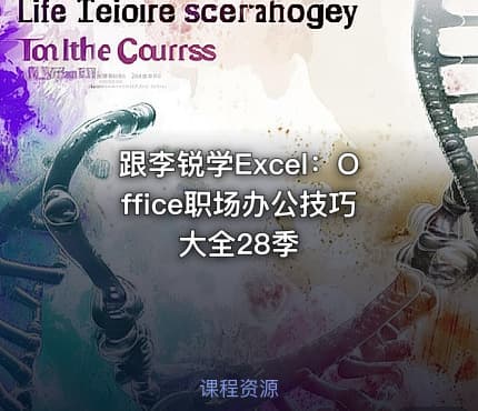 跟李锐学Excel:Office职场办公技巧大全28季
