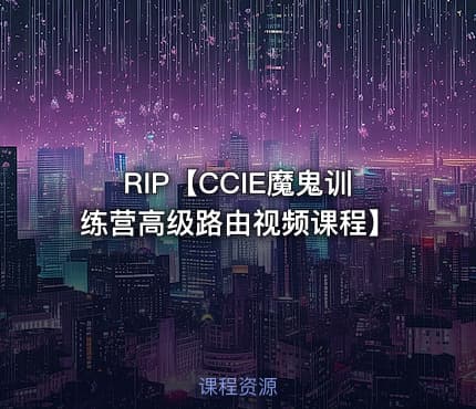 RIP【CCIE魔鬼训练营高级路由视频课程】