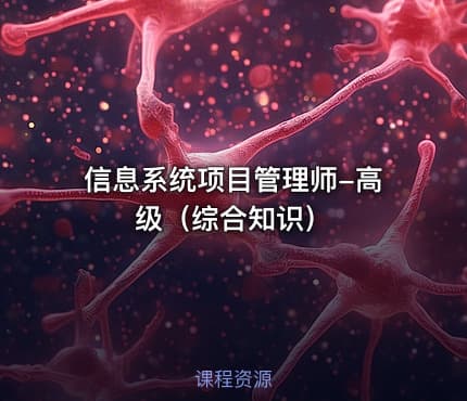 信息系统项目管理师-高级（综合知识）