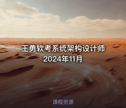 王勇软考系统架构设计师2024年11月