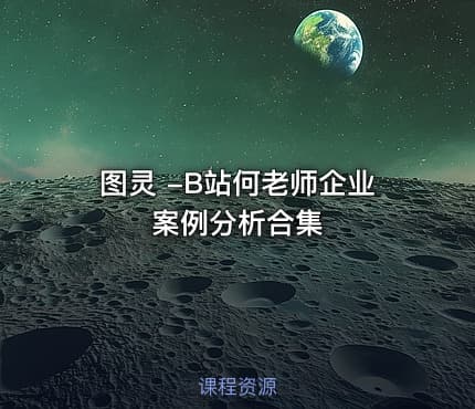 图灵 -B站何老师企业案例分析合集