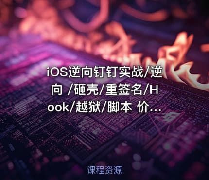 iOS逆向钉钉实战/逆向 /砸壳/重签名/Hook/越狱/脚本 价值2680网盘下载