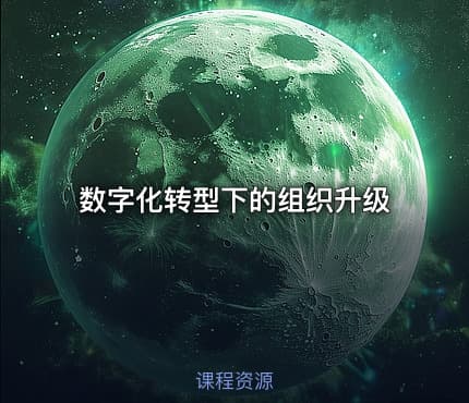 数字化转型下的组织升级