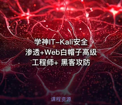 学神IT-Kali安全渗透+Web白帽子高级工程师+ 黑客攻防
