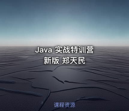 Java 实战特训营 新版 郑天民