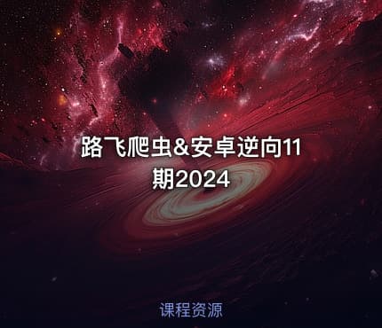 路飞爬虫&安卓逆向11期2024