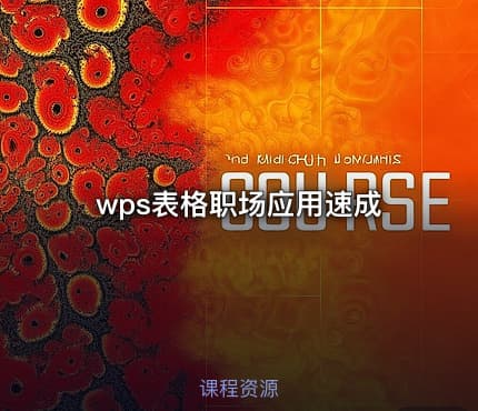 wps表格职场应用速成
