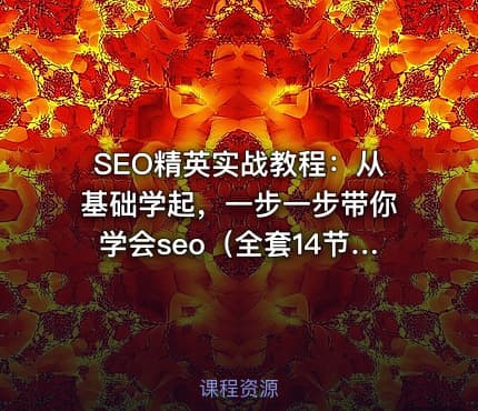 SEO精英实战教程：从基础学起，一步一步带你学会seo（全套14节课）
