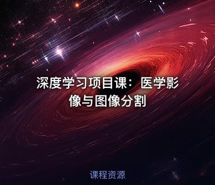 深度学习项目课：医学影像与图像分割