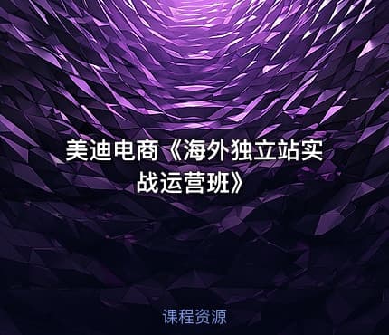 美迪电商《海外独立站实战运营班》