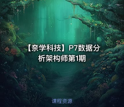 【奈学科技】P7数据分析架构师第1期