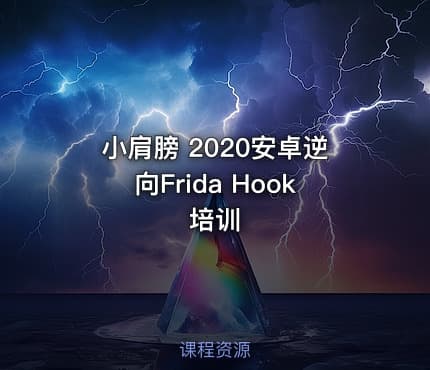 小肩膀 2020安卓逆向Frida Hook培训