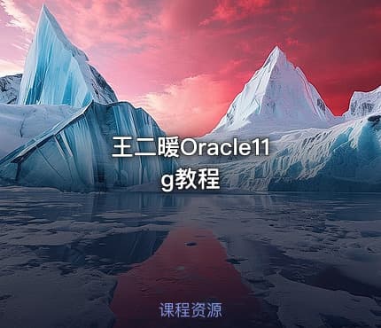 王二暖Oracle11g教程