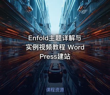 Enfold主题详解与实例视频教程 WordPress建站