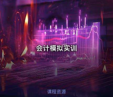 会计模拟实训