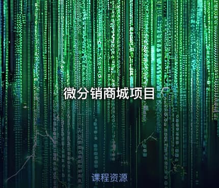 微分销商城项目