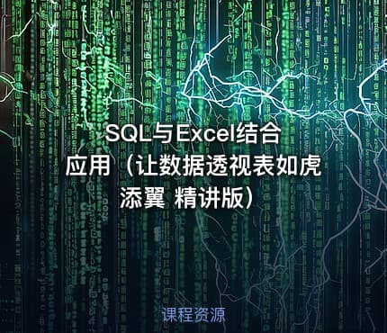 SQL与Excel结合应用（让数据透视表如虎添翼 精讲版）