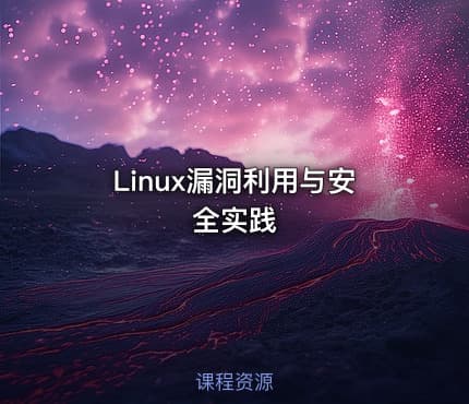 Linux漏洞利用与安全实践