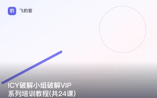 ICY破解小组破解VIP系列培训教程(共24课)