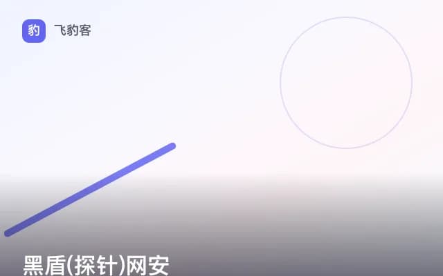 黑盾(探针)网安