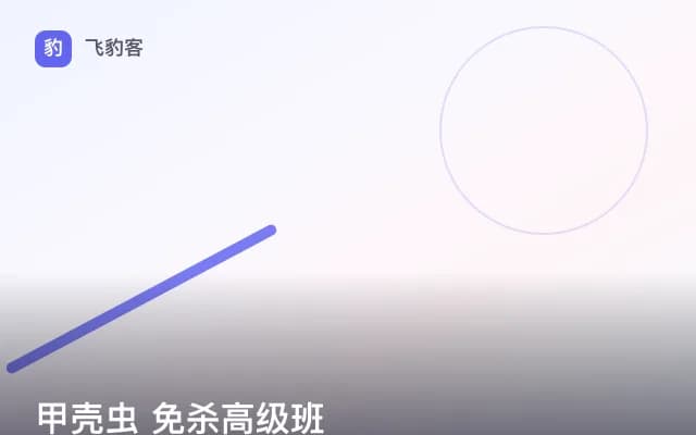 甲壳虫 免杀高级班