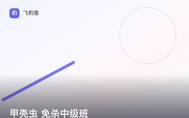 甲壳虫 免杀中级班