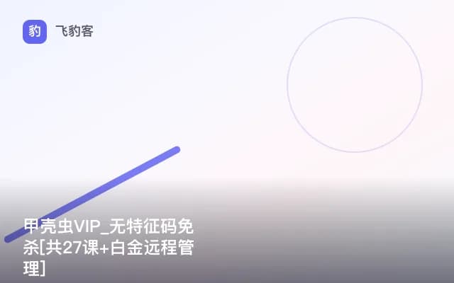 甲壳虫VIP_无特征码免杀[共27课+白金远程管理]