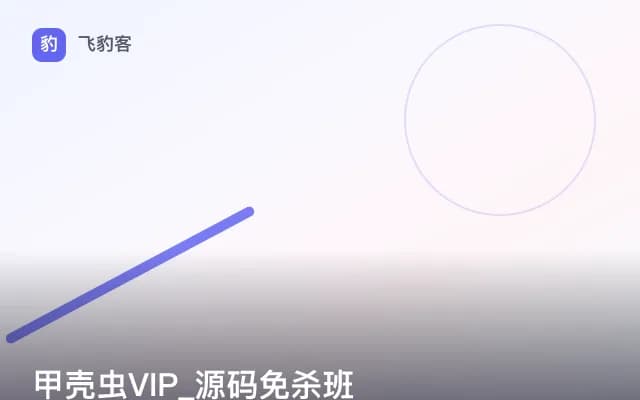 甲壳虫VIP_源码免杀班