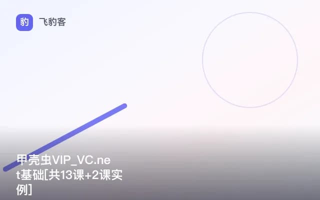 甲壳虫VIP_VC.net基础[共13课+2课实例]
